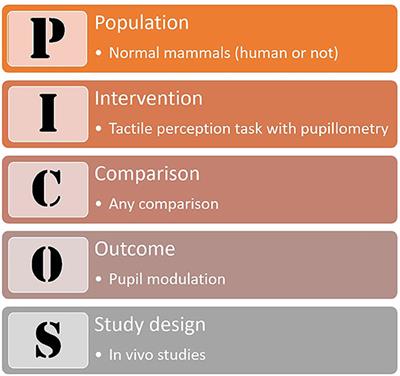 Pupil Reactions to Tactile Stimulation: A Systematic Review